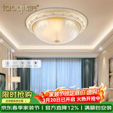 韬齐 欧式吸顶灯客厅现代简约主卧室灯美式阳台灯具 J2014-小号 直径30CM 配单色LED灯泡