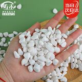 寿禾 白石子小石头多肉盆栽鱼缸造景绿植装饰 6-9mm白卵石500g