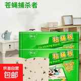 园林粘蝇纸灭蚊虫神器灭蝇器抓苍蝇粘苍蝇贴强力粘蝇板粘蝇贴 粘蝇板1张/太少不建议购买