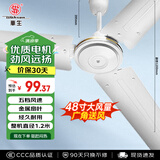 华生（Wahson）吊扇/电风扇/大风力宿舍工厂楼顶扇/工业风扇客厅厨房餐厅家用风扇1.2米 FC-1200