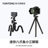 云腾（YUNTENG）3280八爪鱼小三脚架户外拍摄多功能手机微单CCD相机拍照直播短视频vlog章鱼迷你手持桌面三角支架
