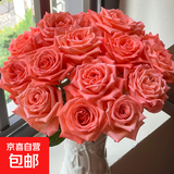 AB级优质香水百合鲜花水培插花家庭生活水养鲜切玫瑰云南产地直发 任意玫瑰10支【不指定颜色品种】