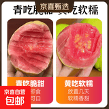 奶油白心红心芭乐 新鲜软糯低卡低热量轻食首先水果 广东2斤带箱（红心）单果100g起净重1.8斤