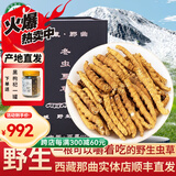 东仔【西藏那曲】野生冬虫夏草高海拔断草送长辈中老年虫草礼盒滋补品 【那曲野生】纯肉节断草-经济实惠5克