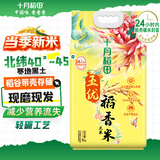 十月稻田 当季新米 生态稻香米 5kg 东北大米 粳米 5公斤