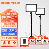 神牛（Godox） LED补光灯P120C摄影灯单反摄像机相机摄像灯影视拍照婚庆常亮灯光 P120C+6000电池+充电器+灯架【两灯套】 双色温