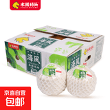 泰国香水椰青新鲜椰子去皮奶香椰青 9粒原箱送礼（单果900g+） 清甜可口，奶香味足