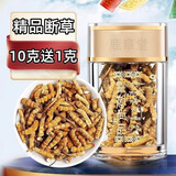冬虫夏草断草虫草断草虫草断虫草自食10克送1克 营养滋补品 藏区精品大断草买10克送1克
