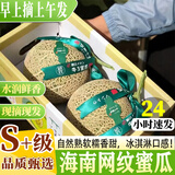 小筑倾橙海南网纹瓜冰淇淋蜜甜瓜玫龙蜜瓜新鲜水果软糯中秋礼盒整箱 3斤优选装【1-2个】