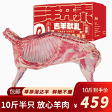 好袁頭 带皮羊肉9斤内蒙古新鲜羔羊腿肉羊肋排羊蝎子火锅食材礼盒装 去皮10斤【都切小块】