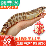 哆鲜生 海捕竹节虾 野外生长活冻国产斑节虾大花对虾九节竹节鬼虾虾类 竹节虾 大号 7-9条 300g(净重)