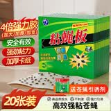 地依猫粘蝇纸板防蚊贴苍蝇纸粘蝇贴强力蝇虫贴灭杀果蝇飞虫捕蝇神器20张