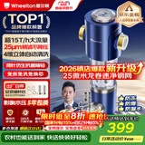 惠尔顿前置过滤器15T大通量过滤25微米反冲洗家用全屋净水器 实时自动清洗刮洗自来水防爆过滤器P0038pro 自行安装【15T-升级25微米精滤】