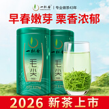 一杯香茶叶绿茶明前早春毛尖茶250g2026新茶春茶礼盒装自己喝散装茗茶
