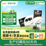 伊利【新鲜日期】谷粒多 黑谷牛奶饮品整箱 250ml*12盒 礼盒装