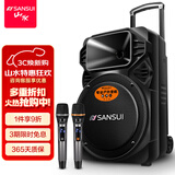 山水（SANSUI）A12-66 12吋广场舞音响 户外音响卡拉ok重低音蓝牙音响 便携式K歌移动舞台拉杆音箱大功率扩音器 旗舰版（12寸重低音+双麦）