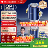 惠尔顿前置过滤器15T大通量过滤25微米反冲洗家用全屋净水器 实时自动清洗刮洗自来水防爆过滤器P0038pro 自行安装【15T-升级25微米精滤】