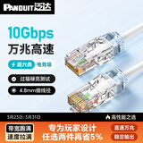 泛达 泛达超六类细网线CAT6A类跳线家用电脑宽带POE监控万兆高速成品线 圣洁白 10米