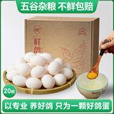 均鲜新鲜土鸽子蛋杂粮喂养农家特产白鸽蛋信鸽蛋孕妇宝宝年货节礼盒装 20枚400g左右鲜鸽蛋