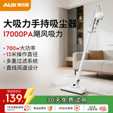奥克斯（AUX）家用吸尘器手持地毯式低噪音小型迷你大功率强力吸尘器除尘机宠物家庭有线5米 AXS-927 白色豪华版