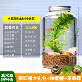 哈洁宝微景观生物生态瓶观赏小鱼diy科学作业免换水造景材料活动礼物 水星瓶黄金砂（小鱼款）