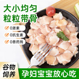 亚太中慧掌中宝鸡膝软骨新鲜速冻鸡脆骨脚筋生鲜烧烤油炸食材商用三角骨 【烧烤必吃】膝软骨1800g