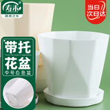寿禾 花盆带托盘塑料盆家庭园艺花卉种植 木里盆中号-白色*1