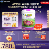 君乐宝小小鲁班诠维爱AII儿童配方奶粉4段800g*4成长套餐 乳铁蛋白
