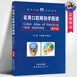 实用口腔解剖学图谱(第2版) 王美青著 人体解剖口腔图谱实用口腔医学临床牙科医生参考书籍 世界图书出版公司