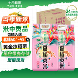 十月稻田 香稻贡米 东北大米 5kg*2/箱装 香米 粳米 10kg 20斤