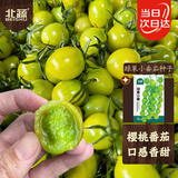 北蔬番茄种子苗绿色清甜圣女果西红柿青口蜜蔬菜籽 绿果小番种子25粒