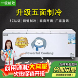 北极川【五面制冷一级能效】冰柜商用智能温控卧式大容量冷柜家用冷藏冷冻展示柜冰箱保鲜柜雪糕柜 五面制冷|长2.4米三门商用|智能单温BD/BC2400