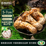 香格里拉松茸云南鲜冻野生松茸【5-7cm】净重1斤送礼滋补煲汤火锅食材源头直发