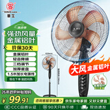 华生（Wahson）电风扇/落地扇/金属铝叶风扇/家用办公电扇/大风量低噪省电立式电风扇交流定频风扇 FS-D1401
