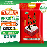十月稻田 当季新米 长粒香大米 10斤（东北大米 香米 5公斤/十斤