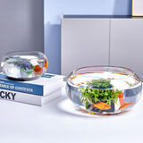 橙央生态鱼缸家用小型玻璃鱼缸金鱼缸造景圆形小鱼缸客厅办公桌乌龟缸 大号鼓缸30cm鼓缸+彩石6件套【卖的最好】