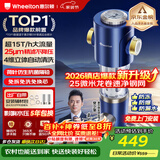 惠尔顿前置过滤器15T大通量过滤25微米反冲洗家用全屋净水器 实时自动清洗刮洗自来水防爆过滤器P0038pro 上门安装【15T-升级25微米精滤】