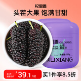 杞里香大果桑葚干500g（2罐装）黑桑葚 精选即食桑椹干补品桑葚汁养生茶