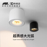 爱斯兰 LED明装筒灯简约客厅卧室背景墙吸顶式射灯护眼过道玄关灯具 白色7W 暖光