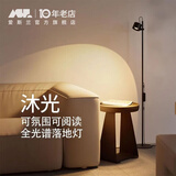 爱斯兰客厅落地灯网红护眼卧室全光谱小红帽氛围灯轻奢极简风沙发立式灯 砂岩黑-12W-暖光（氛围首选）