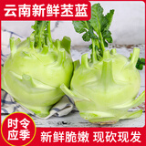 言片光新鲜苤蓝 芥兰 芥菜头 农家自种时令生鲜蔬菜 3斤装【鲜嫩脆甜】现砍现发