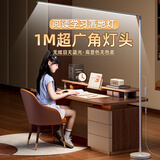 督牌落地立式护眼灯学习专用儿童学生钢琴灯客厅家用阅读灯书桌大路灯