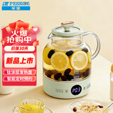 半球（PESKOE）1L 钛养生壶 煮茶壶烧水壶 恒温煮茶器 电热水壶保温花茶壶 YL-BQ01标准款