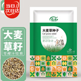 寿禾 大麦草种子苗猫草榨汁蔬菜种籽 潍育中寿大麦草种子500g