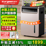 欧井（Eurgeen）除湿机/抽湿机 除湿量50升/天 泵压排水 回南天家用地下室别墅商用工业净化净味吸湿器 OJ-550EP
