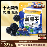 三只松鼠每日蓝莓干500g 蜜饯果干酸甜休闲零食下午茶孕妇儿童健康零食