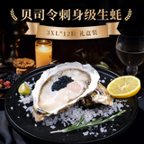 贝司令鲜活乳山刺身级生蚝可生食  3XL*12只 礼盒装 家宴源头直发