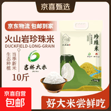 火山岩珍珠米 当季新米寿司米东北大米 火山岩大米粳米 火山岩珍珠米5KG