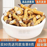 冬虫夏草断草虫草断草虫草断虫草自食10克送1克 营养滋补品 藏区精品大断草买80克送8克