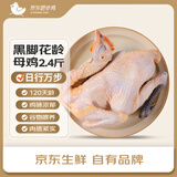 京东跑步鸡黑脚花龄母鸡 2.4斤 120天土鸡滋补鸡肉炖鸡汤食材